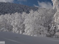 2017-12-29 V. del Morretano 171